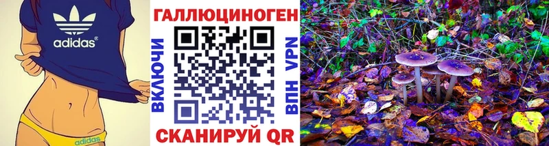 Галлюциногенные грибы мухоморы Сусуман